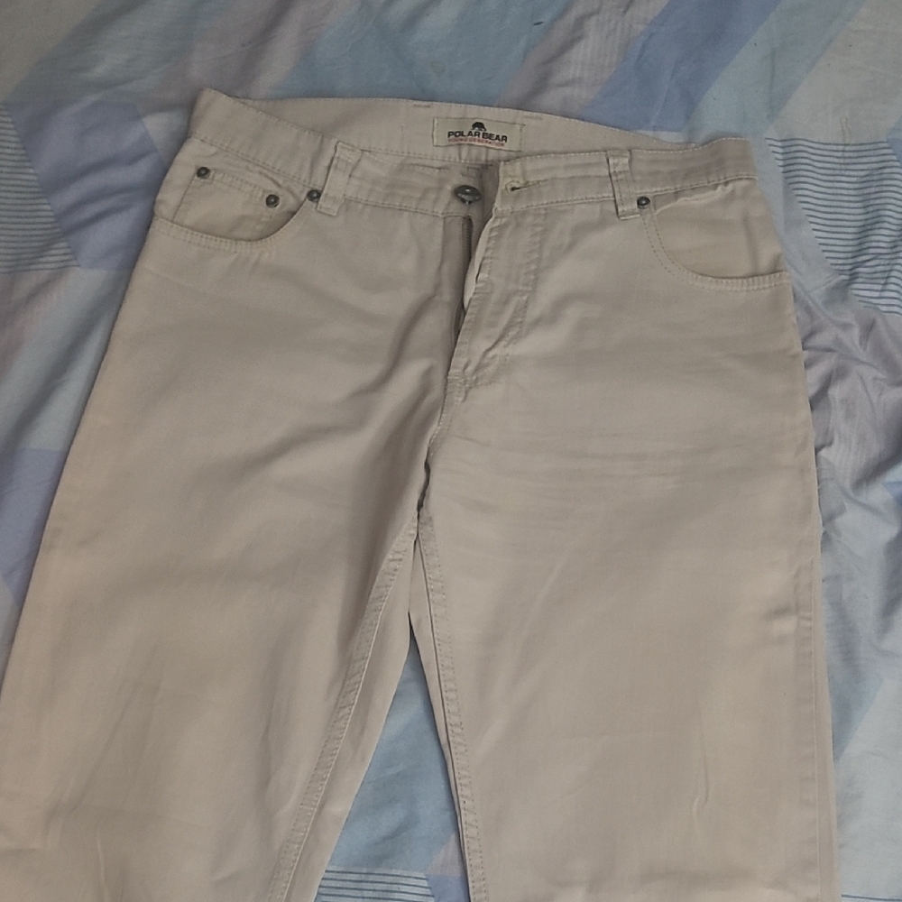 Polar Bear Men's Beige Straight Leg Pants